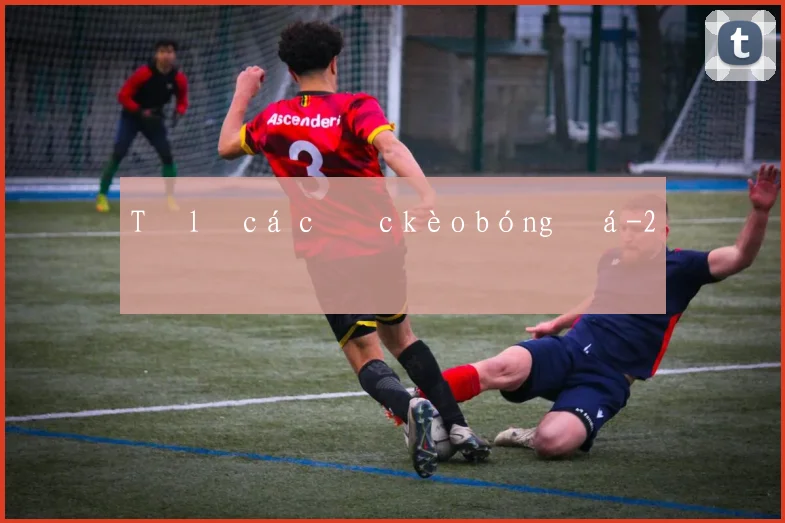Tỷ lệ cá cược kèo bóng đá